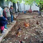 Récolte des pommes à la Campagne des Fabres 2016 Récolte des pommes à la Campagne des Fabres 2016