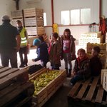 Récolte des pommes à la Campagne des Fabres 2016 Récolte des pommes à la Campagne des Fabres 2016
