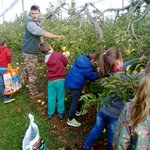 Récolte des pommes à la Campagne des Fabres 2016 Récolte des pommes à la Campagne des Fabres 2016