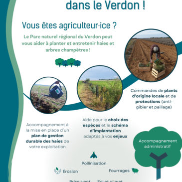 Plantons des haies dans le Verdon !