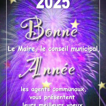 Bonne Année 2025